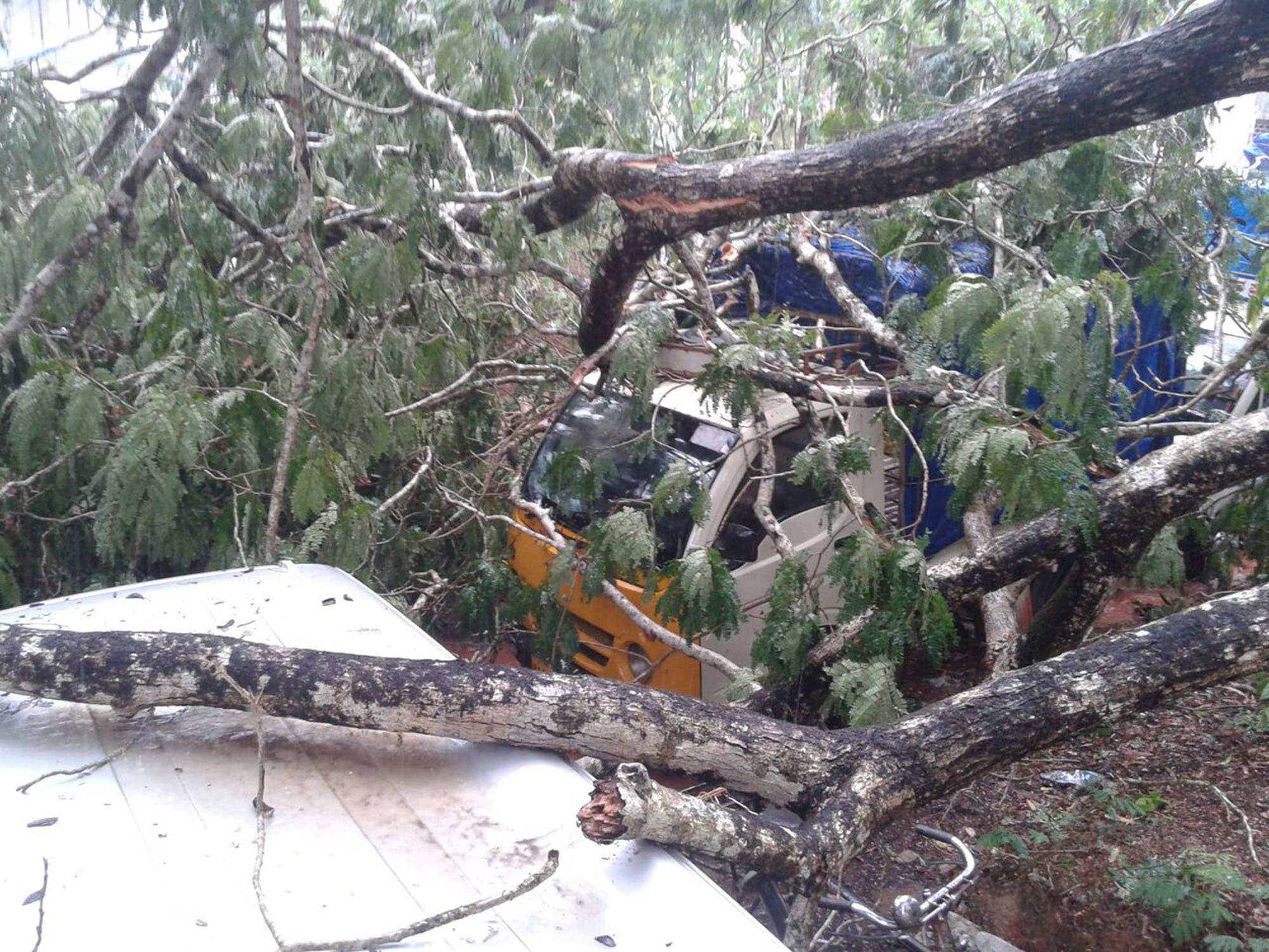 ಹೆಬ್ರಿ: ಭಾರೀ ಗಾಳಿ, ಮಳೆ, ಸಿಡಿಲು; ಮರ ಉರುಳಿ 4 ವಾಹನ ಜಖಂ